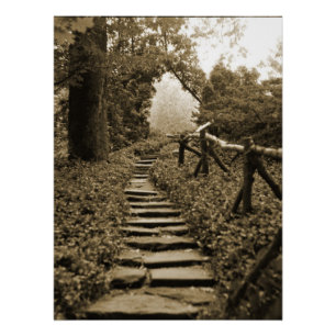 Pôster Caminho para a Luz