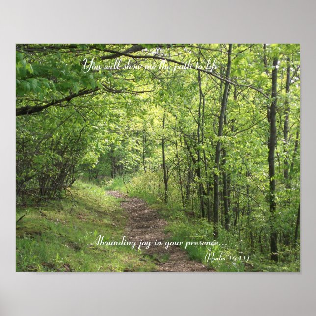 Poster Caminho para a vida nº 2 (Frente)