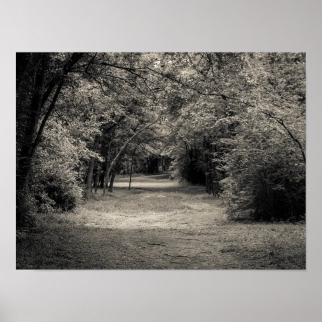 Poster Caminho para Desconhecido (Frente)