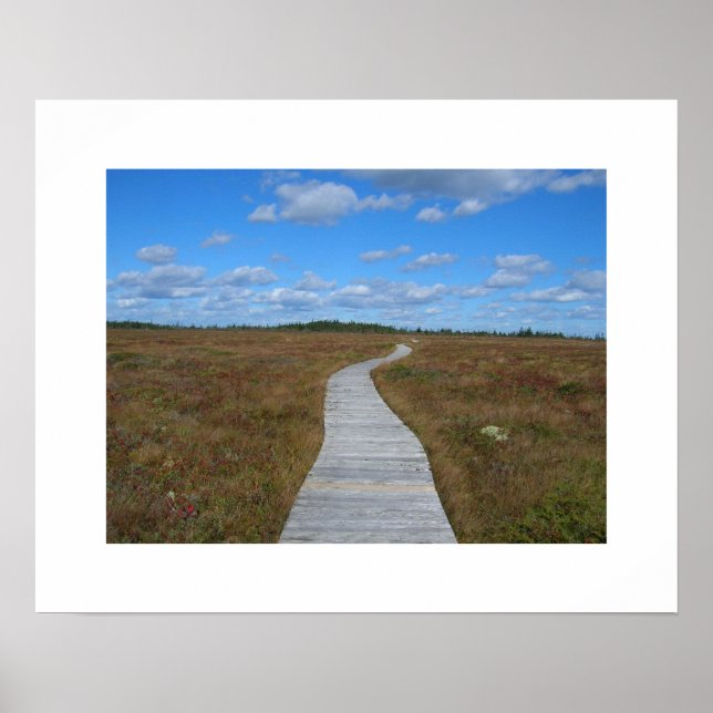 Pôster Caminho para o Céu (Frente)