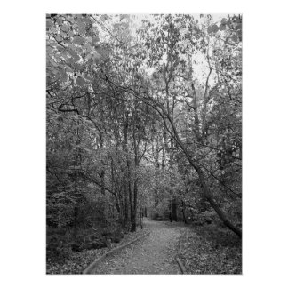 Pôster Caminho Silencioso da Floresta de Outono – Edição 