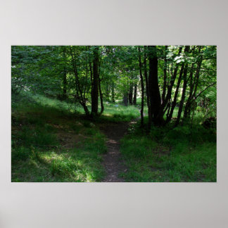 Poster Caminho Verde
