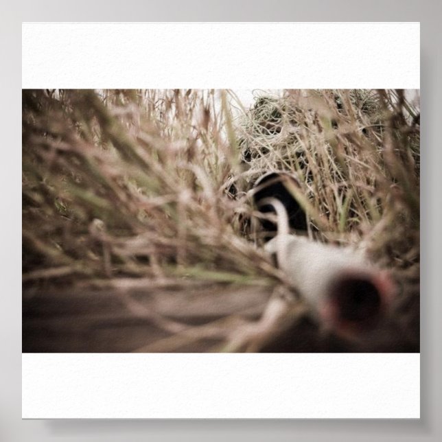 Pôster camisa (Frente)