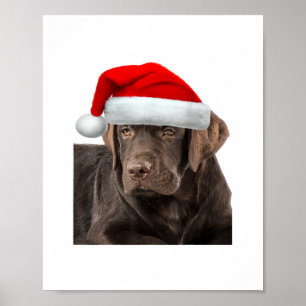 Poster Camisa de chocolate Labrador Cachorro de varejo