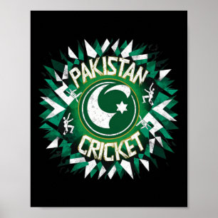 Poster Camisa de Críquete do Paquistão Bandeira de Críque