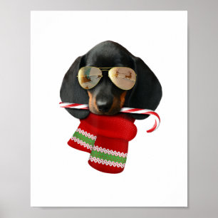 Poster Camisa de Dachshund Bonito presente de Natal Dog A
