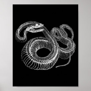 Poster Camisa de Esqueleto de Cobra Engraçado e Legal par