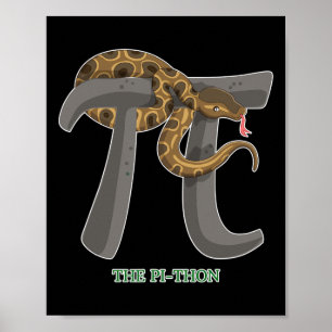 Poster Camisa Do Dia Pi Mulheres Crianças Crianças Profes