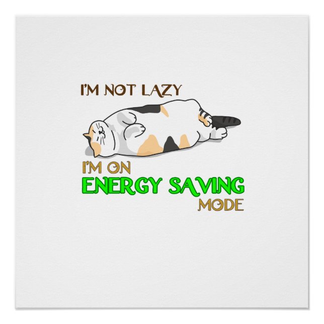 Pôster Camisa engraçada de gato|Presente de gata |Present (Frente)