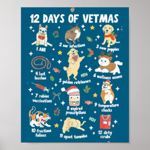 Poster Camisa Natal Veterinário Medicina Veterinária V
