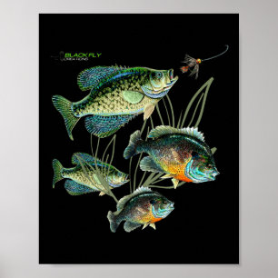 Poster Camisas e Moletons de Pesca de Crappie Bluegill Pr