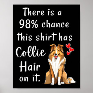 Poster Camisas engraçadas Rough Collies 98% de chance Tem
