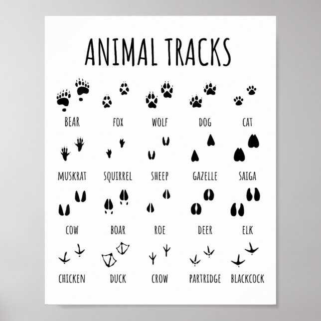 Poster Camiseta de rastros de animais exploradores da nat (Frente)