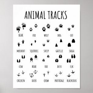 Poster Camiseta de Trilhas de Animais Explorador da Natur
