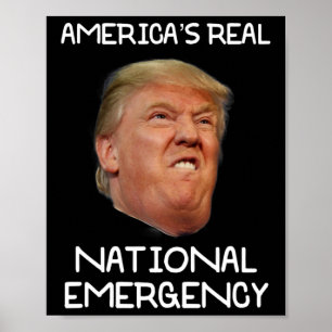 Poster Camiseta Emergência Nacional Trump Trump É A Emerg