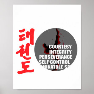 Poster Camiseta Taekwondo Tenetos Artes Marciais Tae Kwon