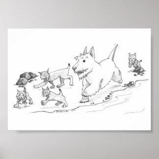 Poster Cammy e os Kittens