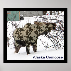 Poster Camouflage Moose