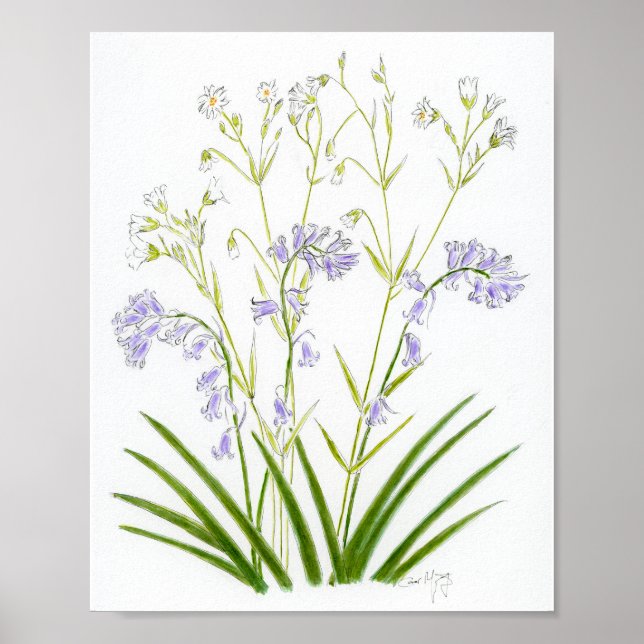Poster Campainhas e Stitchwort (Frente)