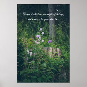 Poster Campainhas na floresta