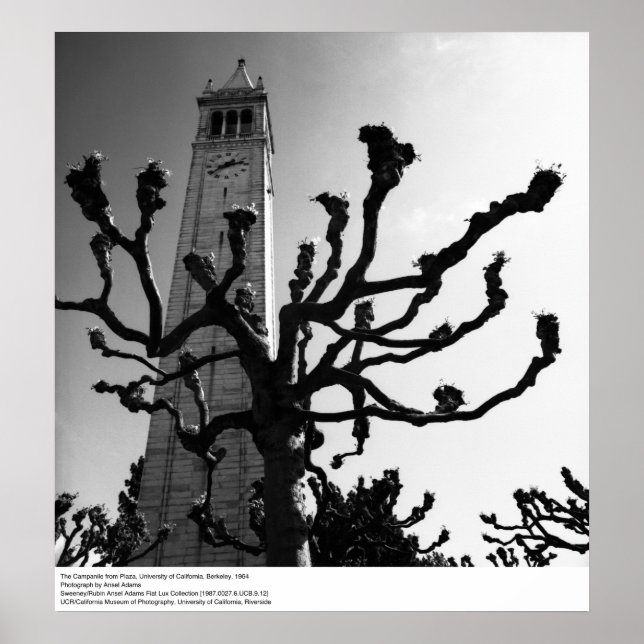 Pôster Campanile da Plaza, UC Berkeley, 1964 (Frente)
