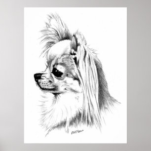 Pôster Campeão da chihuahua de Longcoat