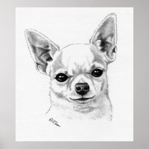 Pôster Campeão da chihuahua de Smoothcoat