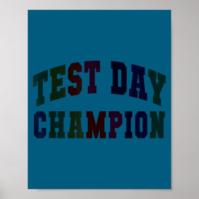 Poster Campeão do dia de teste engraçado testando tudo o  (Frente)