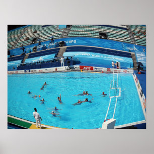 POSTER CAMPEONATO ROMA 2009 DO MUNDO DA NATAÇÃO