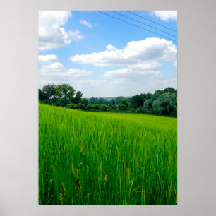 Poster Campestre lindo