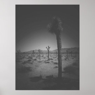 Poster Campo Branco e Preto Cinematográfico de Joshua Á