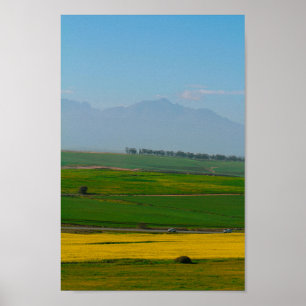 Poster Campo Canola na África do Sul N7