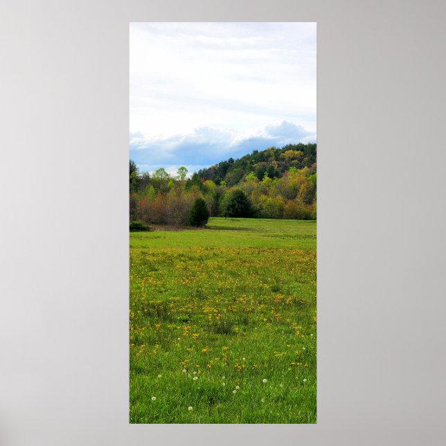 Poster Campo das flores (Frente)