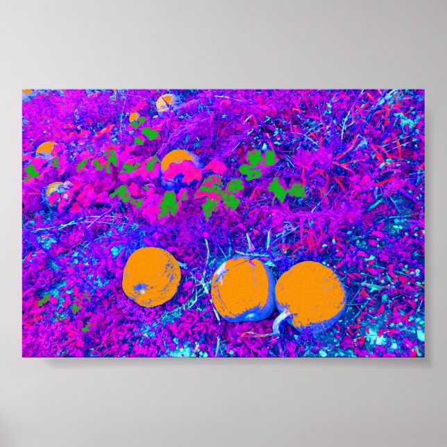 Poster Campo de abóbora roxa no estilo de arte Pop (Frente)