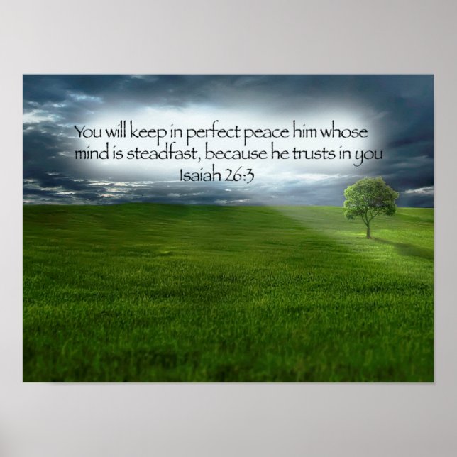 Poster Campo de Árvore Pacífico Céu Azul Versículo da Bíb (Frente)