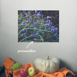 Poster Campo de Cornflower