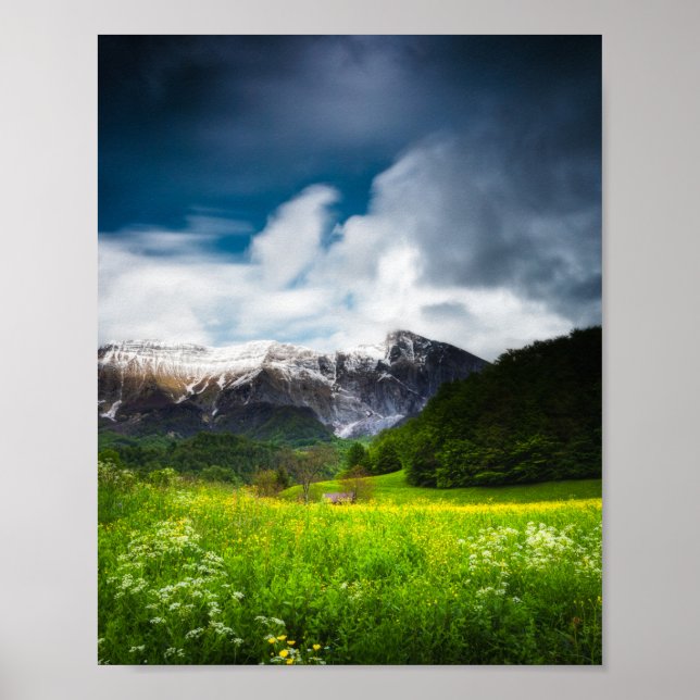 Poster Campo de flores da primavera sob a montanha Krn (Frente)