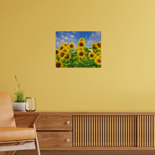 Poster Campo de Flores de Girassol (Sala de Estar 2)