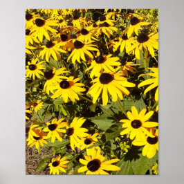 Poster Campo de Flores Silvestres Amarelas