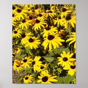 Poster Campo de Flores Silvestres Amarelas