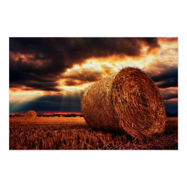 Pôster Campo de Hay Bales (Frente)