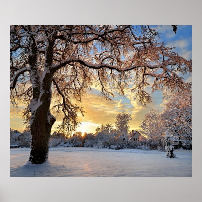 Poster Campo De Inverno Na Letónia (Frente)