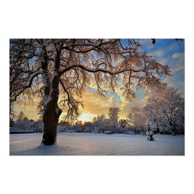 Pôster Campo De Inverno Na Letónia (Frente)