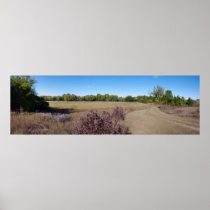 Pôster Campo de Kansas