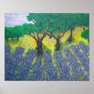 Pôster Campo de lavanda