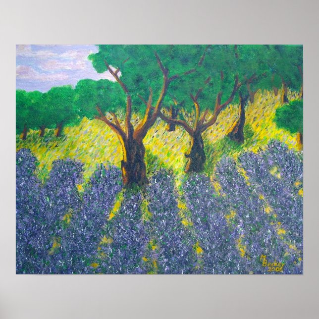 Pôster Campo de lavanda (Frente)