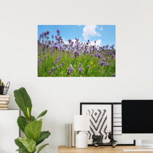 Poster Campo de lavanda