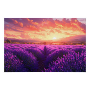 Pôster Campo de lavanda na Provença