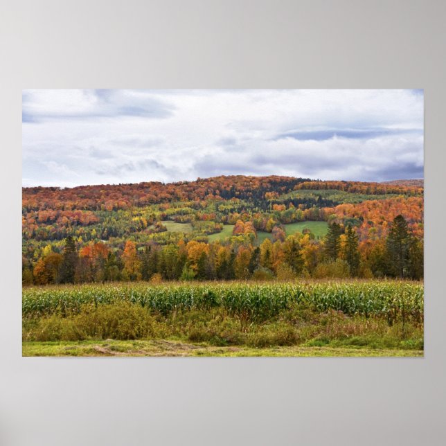 Poster Campo de Milho de Vermont no Outono (Frente)