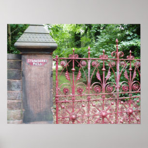 Pôster Campo de Morango